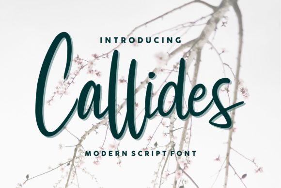 Callides Script: A Luxurious Calligraphy Typeface for Design Projects